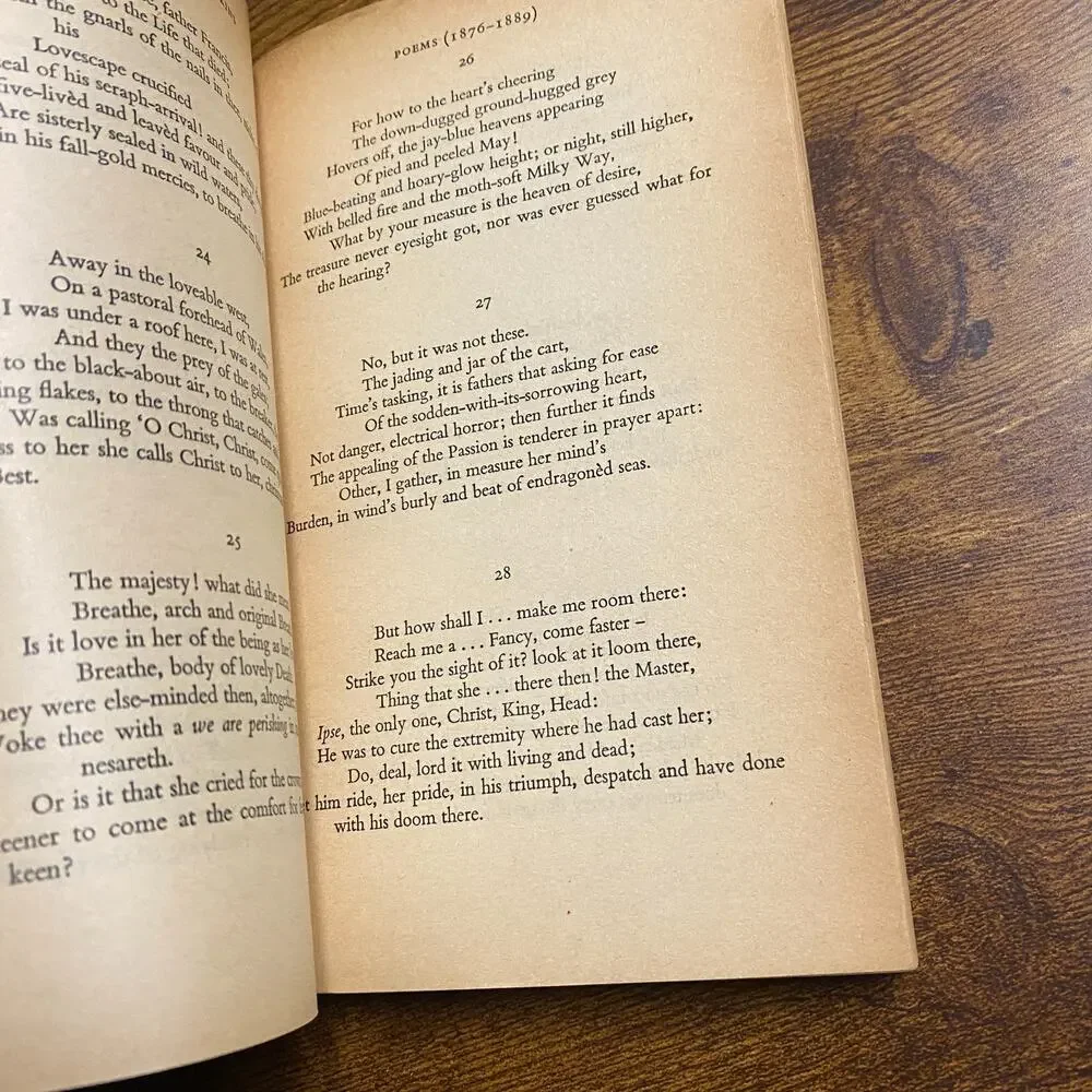 Gerard Manley Hopkins Poems & Prose W.H. Gardner Paperback